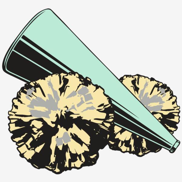 BAW CHEER 19 RC Thumbnail