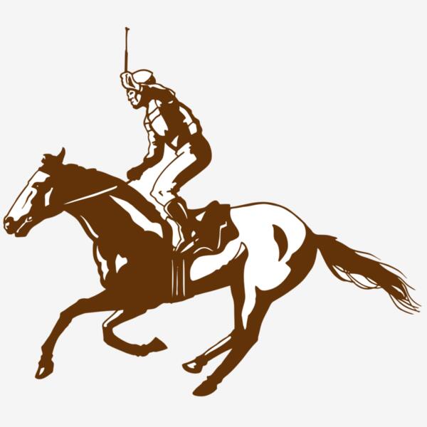 AR EQUEST 11 RC Thumbnail