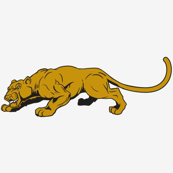 AR10 PAN COU 01 RQC Thumbnail