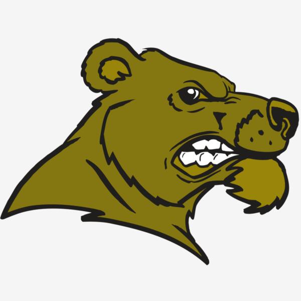 AR BEAR 11 RC Thumbnail