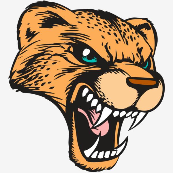 BAW CHEETAH 19 RC Thumbnail