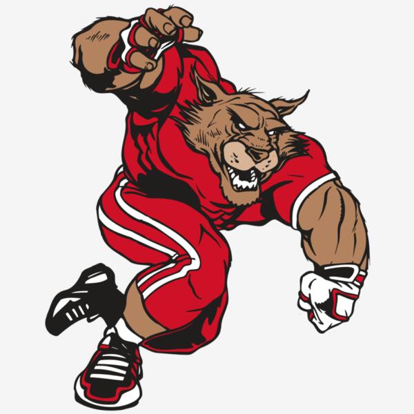 AR WILDCAT 32 RC Thumbnail