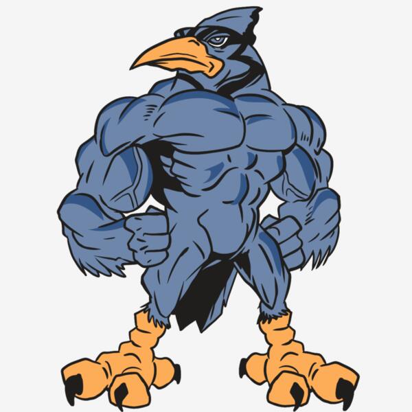 AR13 BLUEJAY 03 RQC Thumbnail