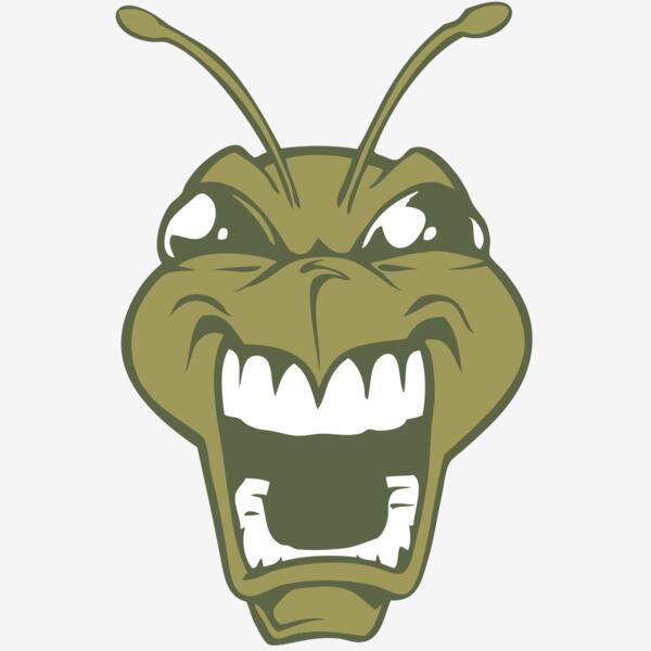 BAW BEE 13 RC Thumbnail