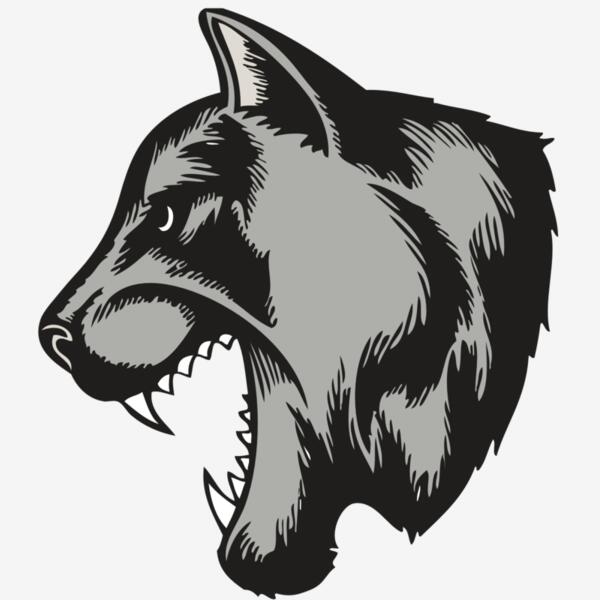 BAW COUG PANTH 06 RC Thumbnail