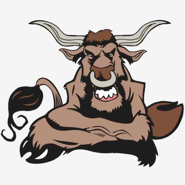 AR5 BULL 17 RQC Thumbnail