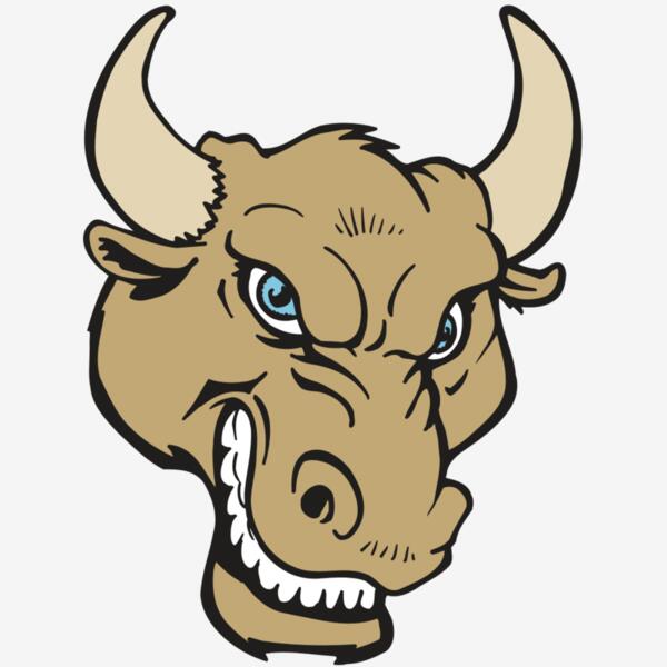 AR5 BULL 13 RQC Thumbnail