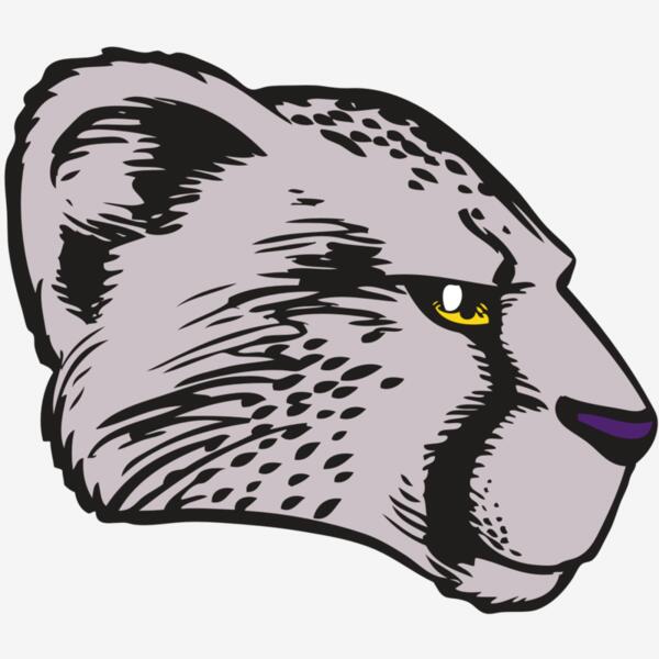 BAW CHEETAH 20 RC Thumbnail