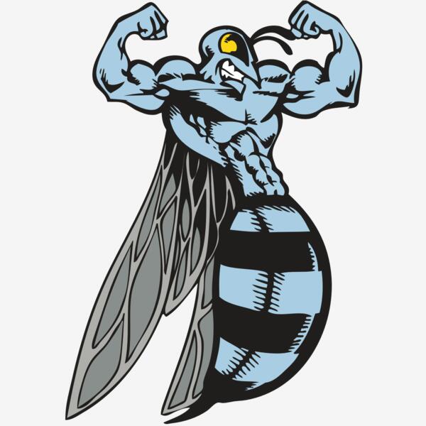 BAW BEE 08 RC Thumbnail