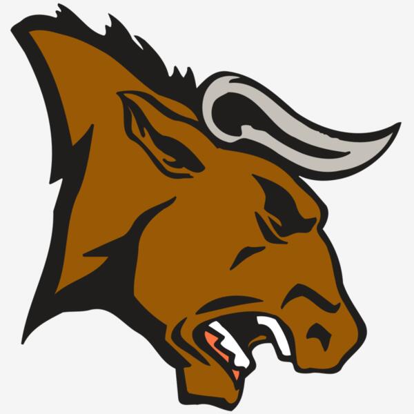 AR BULL 38 RC Thumbnail