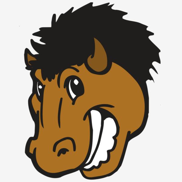 AR BUFFALO 17 RC Thumbnail