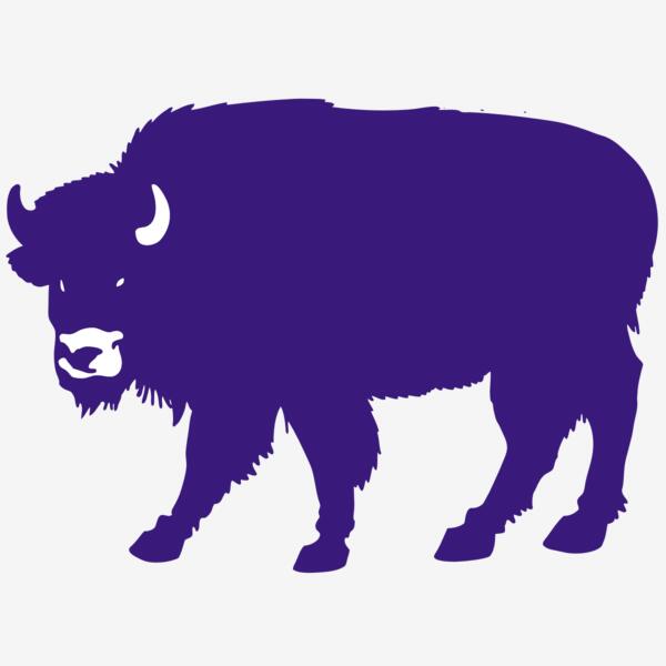 AR BUFF 23 RC Thumbnail