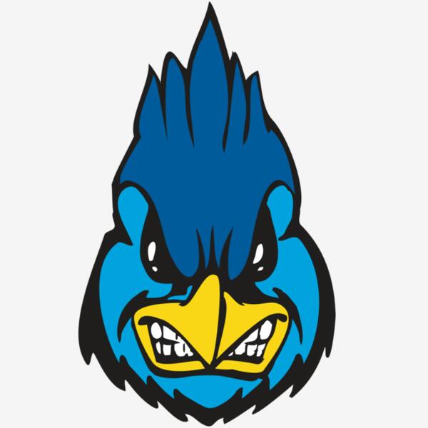 BAW BLUEJAY 02 RC Thumbnail