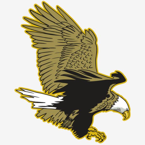 AR10 EAGLE 01 RQC Thumbnail