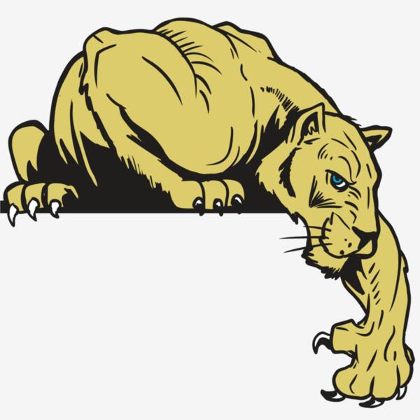 AR10 PANTHER 06 RQC Thumbnail