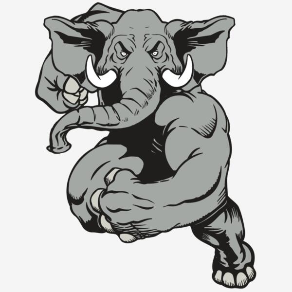 AR ELEPH 18 RC Thumbnail