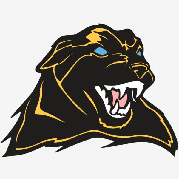 AR COUGAR 42 RC Thumbnail