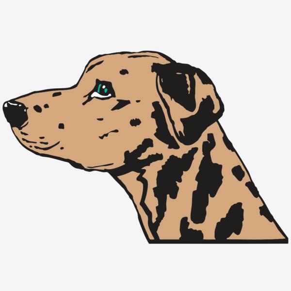 AR2 OTHER 03 RQC Thumbnail