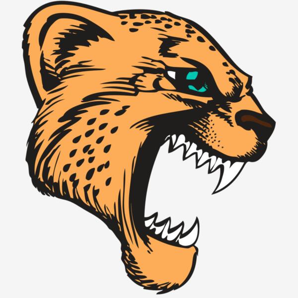 BAW CHEETAH 11 RC Thumbnail