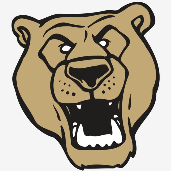 AR BEAR 13 RC Thumbnail