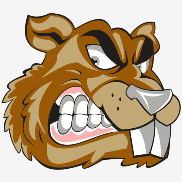 BEAVER HD0503 RQC Thumbnail