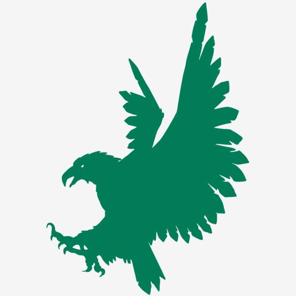 AR EAGLE 88 RC Thumbnail