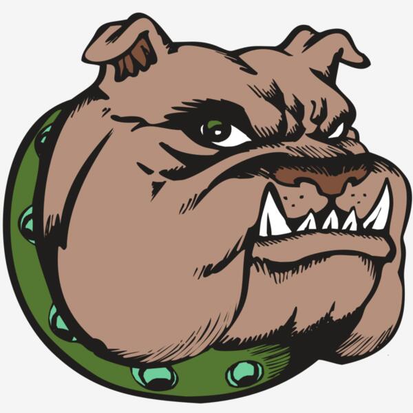 BAW BULLDOG 14 RC Thumbnail