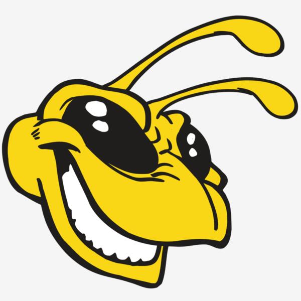 AR5 BEE 24 RQC Thumbnail