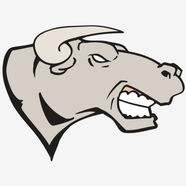 AR BULL 18 RC Thumbnail