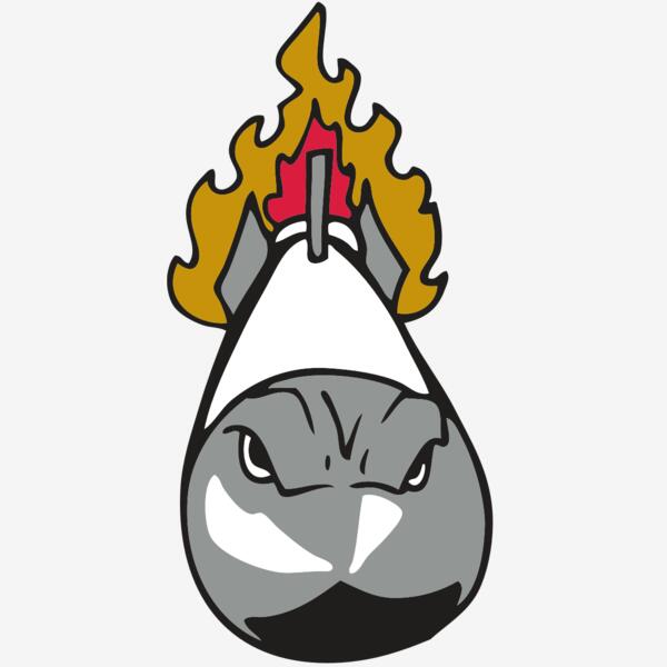 AR ROCKET 12 RC Thumbnail