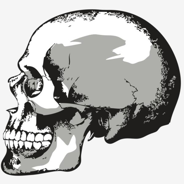 AR24 SKULL 02 RQC Thumbnail