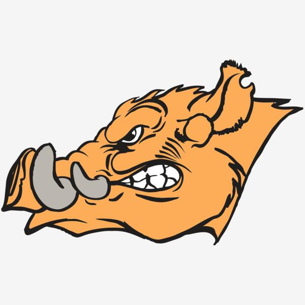 AR RAZORBACK 27 RC Thumbnail