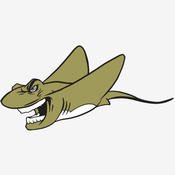 AR19 STINGRAY 07 RQC Thumbnail