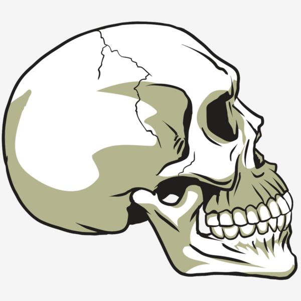 AR24 SKULL 12 RQC Thumbnail