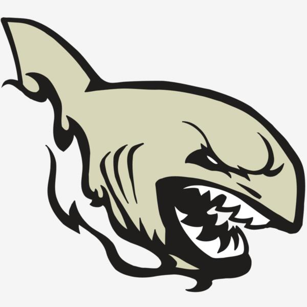 AR5 Shark 08 RQC Thumbnail