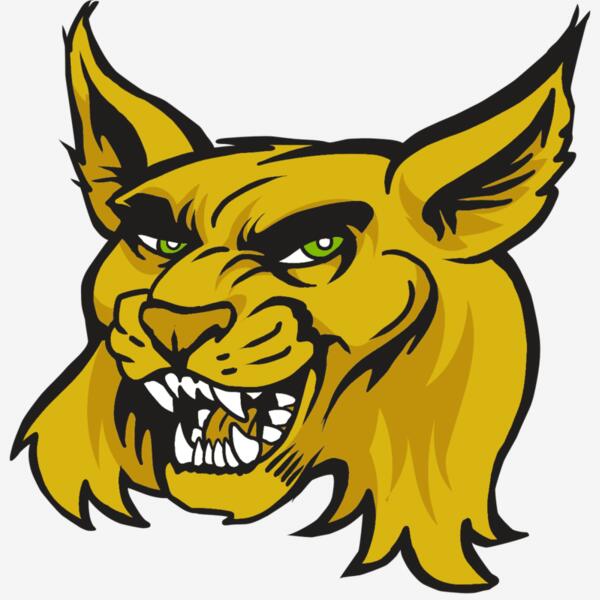 AR30 WILDCAT 03 RQC Thumbnail