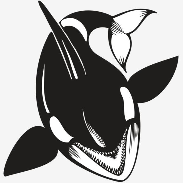 BAW KLRWHALE 01 RC Thumbnail