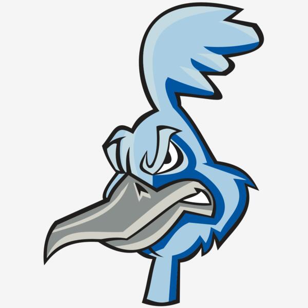 ROADRUNNER HD0501 RQC Thumbnail