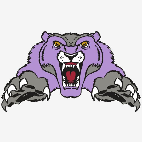 AR WOLVERINE 17 RC Thumbnail