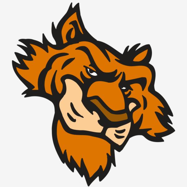 AR5 Tiger 16 RQC Thumbnail