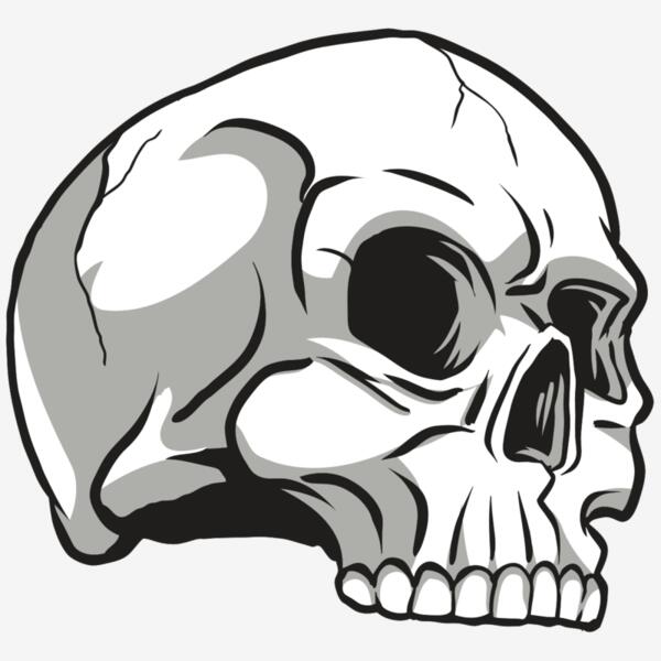 AR24 SKULL 10 RQC Thumbnail