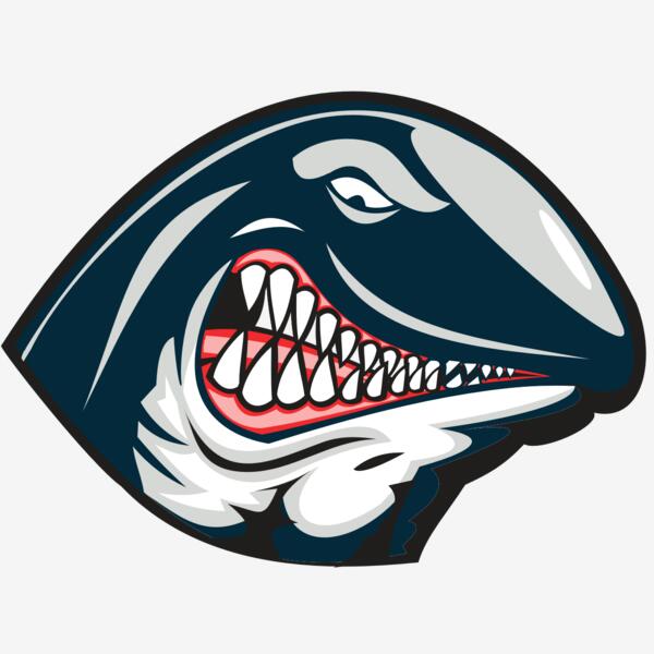 WHALE HD0501 RQC Thumbnail