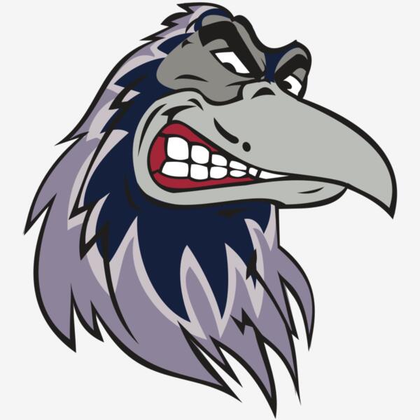 RAVEN HD0504 RQC Thumbnail