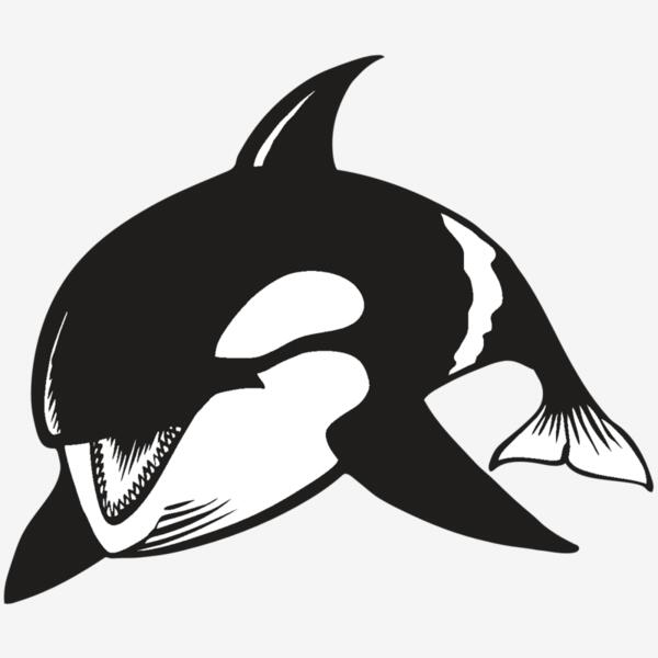 BAW KLRWHALE 04 RC Thumbnail