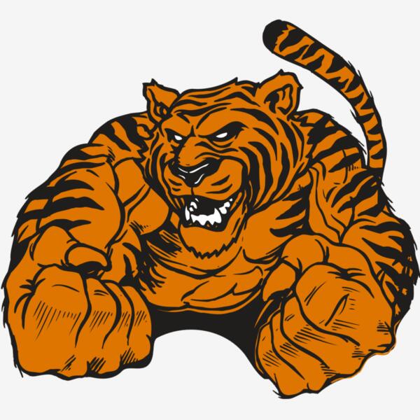 AR TIGER 55 RC Thumbnail