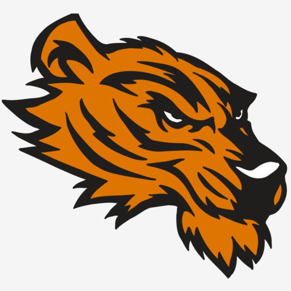 AR5 Tiger 05 RQC Thumbnail