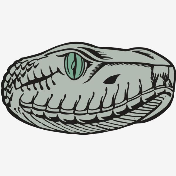 BAW SNAKE 10 RC Thumbnail