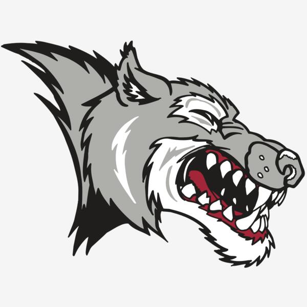 AR WOLF 15 RC Thumbnail