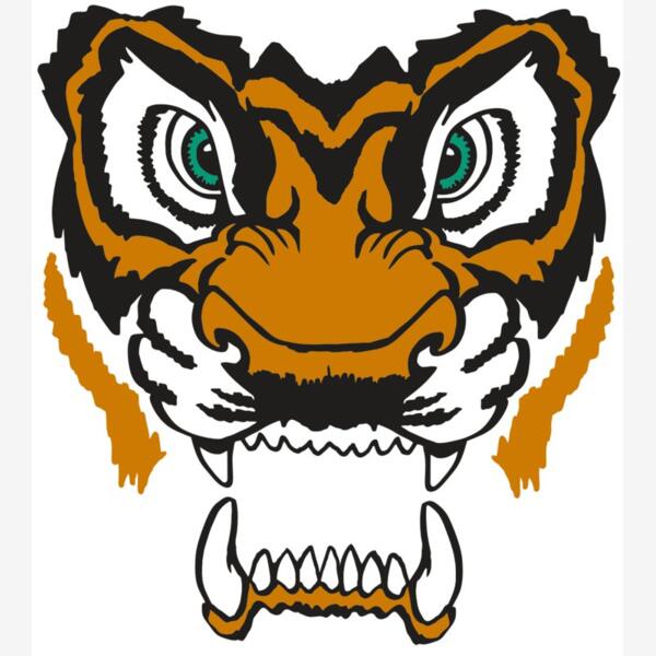 AR TIGER 11 RC Thumbnail