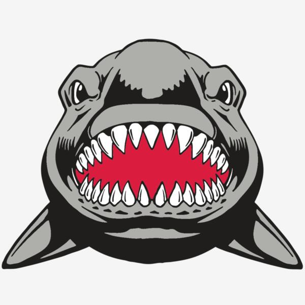 AR  SHARK 25 RC Thumbnail